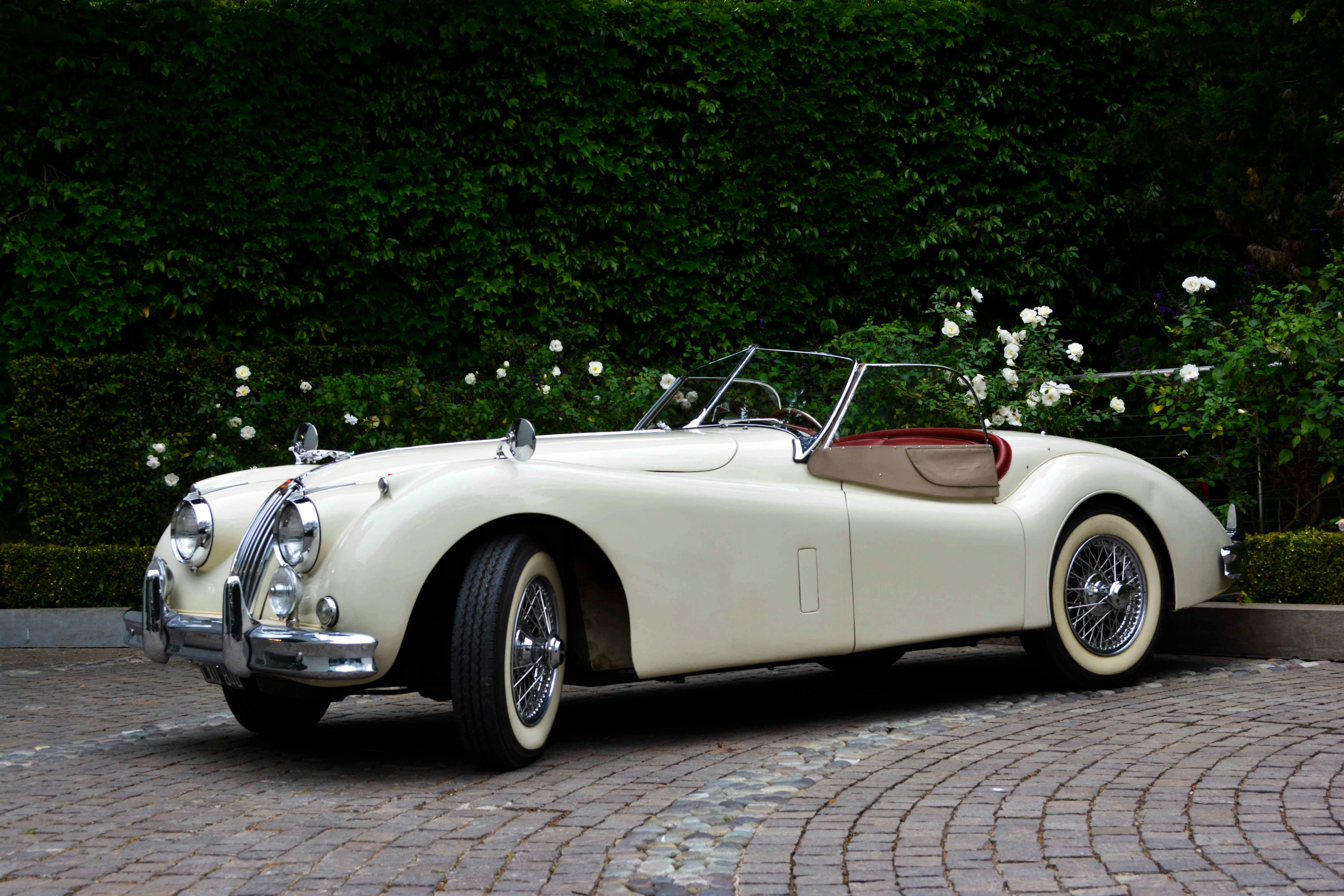 Vintage Cars - Luxury Car Rental Jaipur